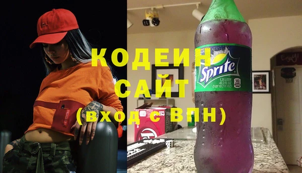 гашик Алзамай