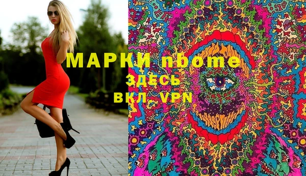 гашик Алзамай